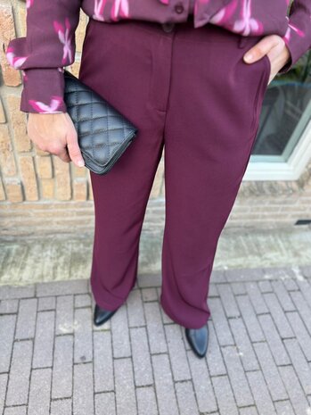 Ydence PANTS SOLANGE PLUM