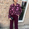 Ydence PANTS SOLANGE PLUM