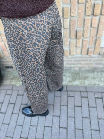 Ydence PANTS WHYNOA LEOPARD