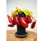 Tropische Kannenpflanze  'Bloody Mary' - groß