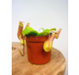 Tropical pitcher plant "Alata" - small  | ø 8,5 cm x ↕ 10 cm