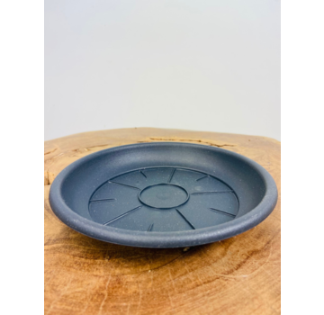 Water dish for 12 cm