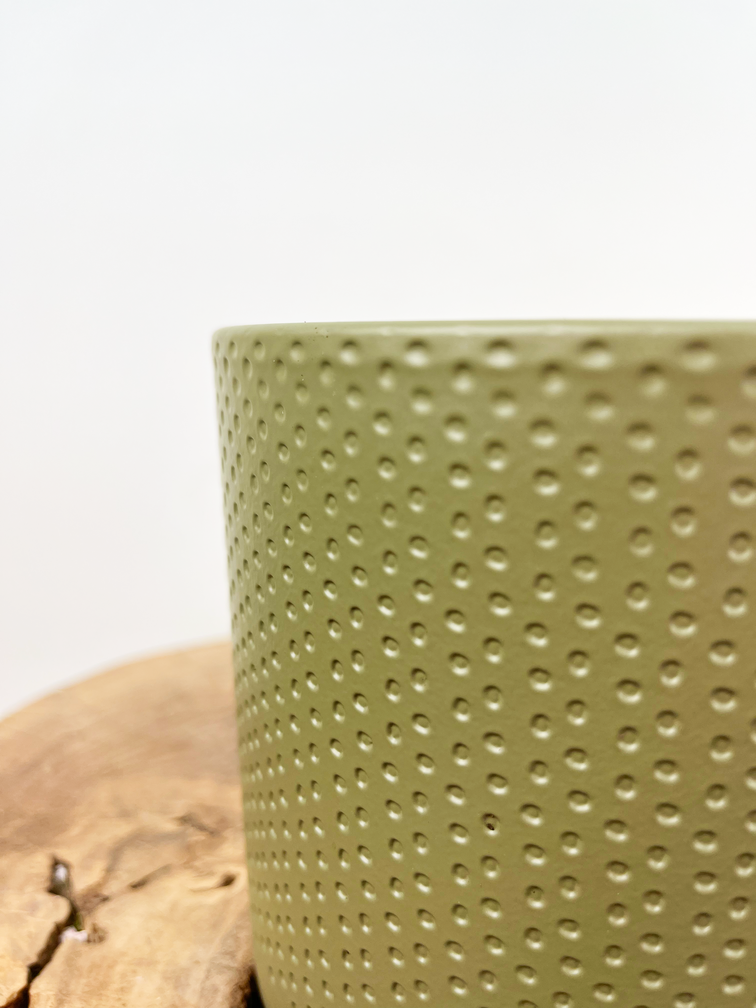 Vaso "Bor" Verde | 12cm