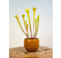 Plant pot "Anny" -  brown | 8.5cm