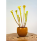 Vaso per piante "Anny" - marrone | 8,5 cm