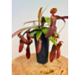 Cup plant "Rebecca Soper" - large | ø 12 cm x ↕ 25 cm
