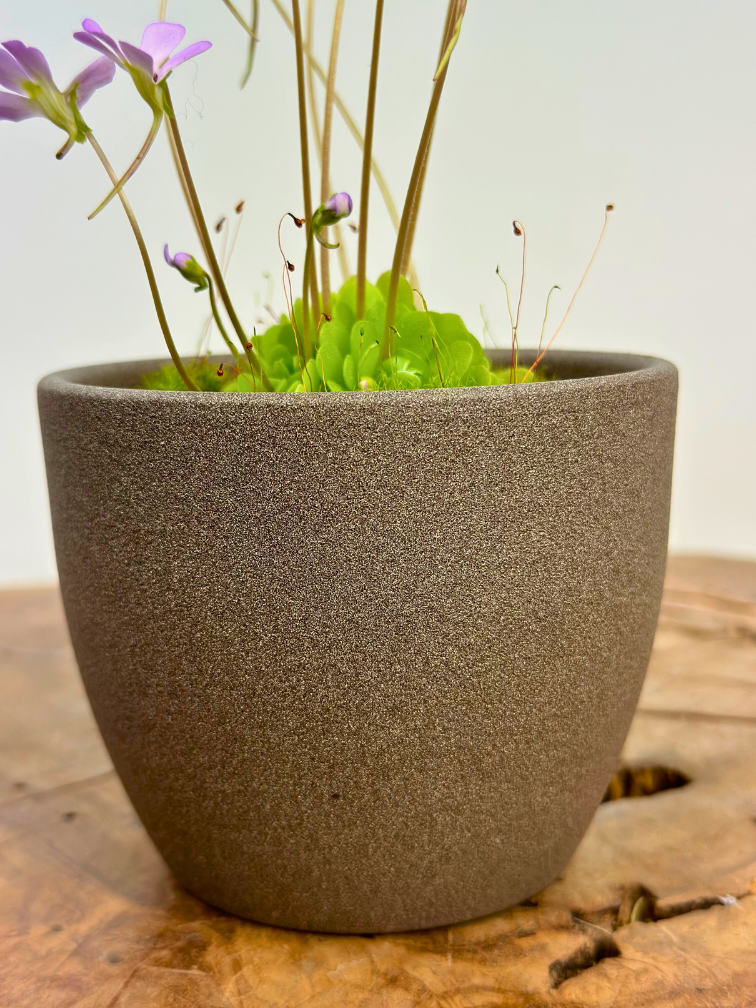 Pot à plantes "Nile" - marron | 8,5cm
