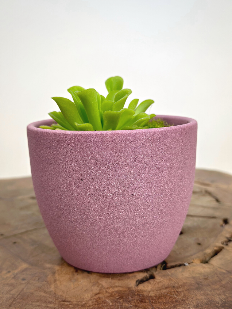 Pot à plantes "Nile" - rose | 8,5cm