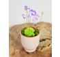 Plant pot "Betsie" - pink | 8,5cm