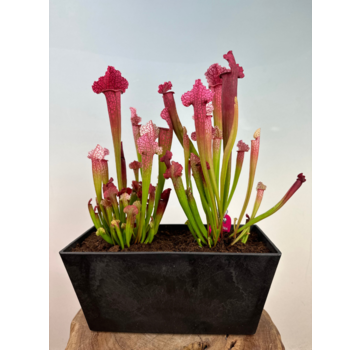 Marsh balcony planter "Dré" - black - Artstone | 37 cm
