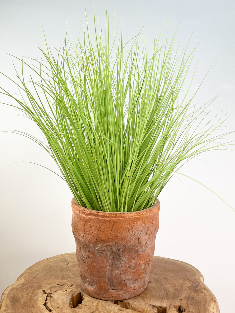Vaso da fiori Ter Steege Nature “Terracotta” | 17x18 cm