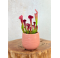 Pflanzentopf "Ayett" -  Rosa | 8,5cm