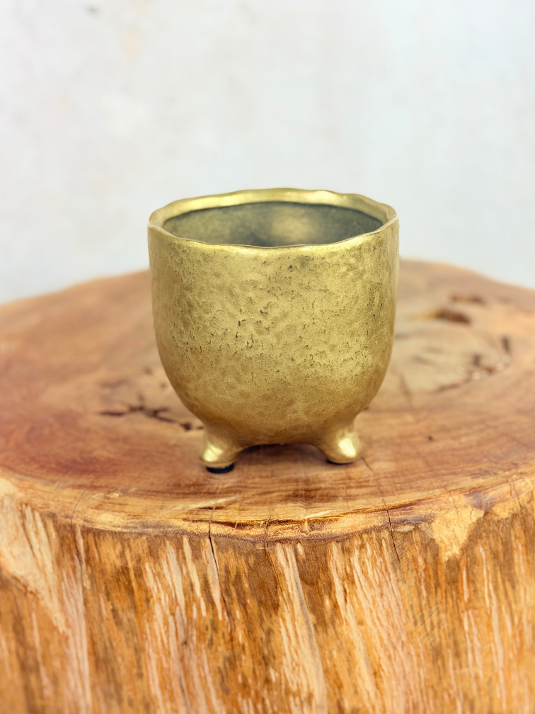 Maceta Elly 'Shiny Gold' | 8,5cm