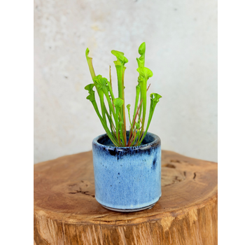 Vaso Huub 'Blu scuro' | 8,5cm