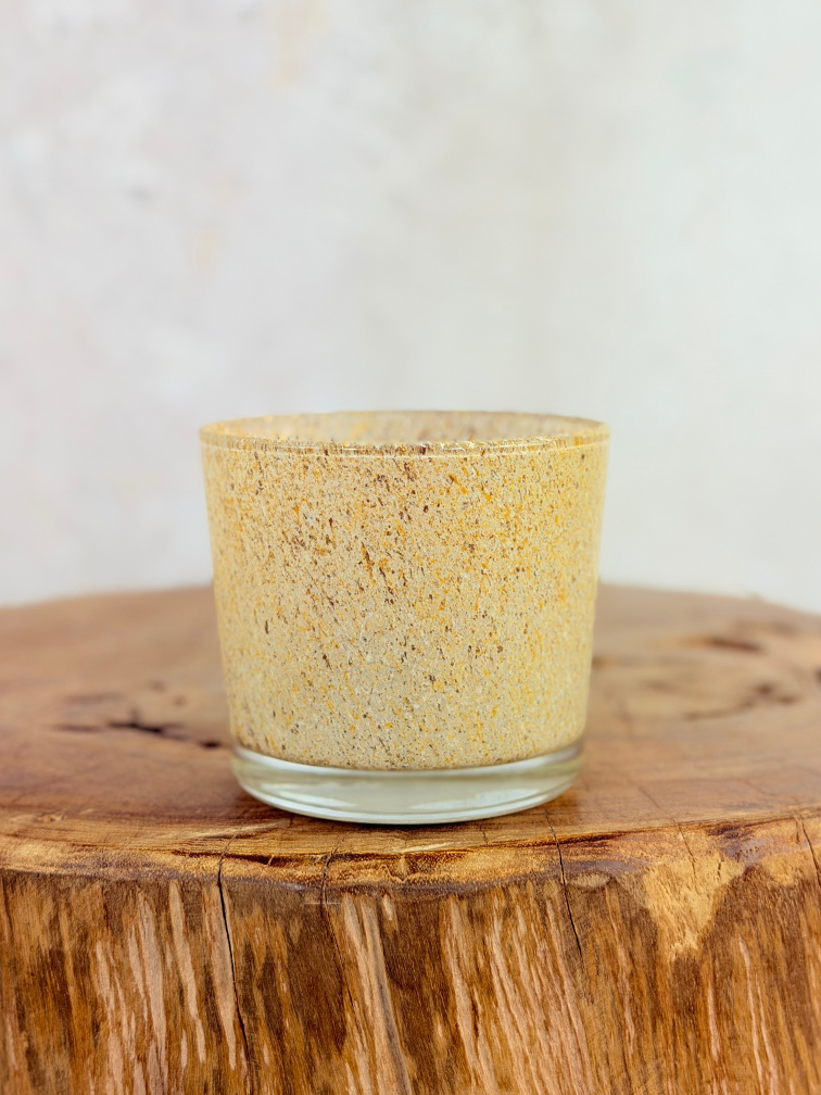 Krukväxt "Sien" – Brun/Beige | 9 cm