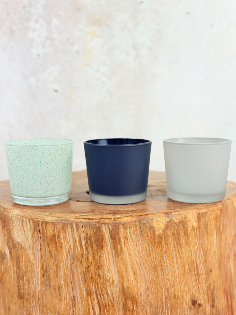 Krukväxt "Sien" – Mattsvart | 9 cm