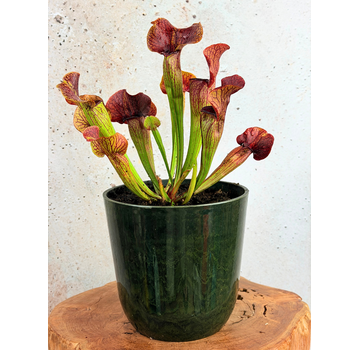Bol marécageux "Nelly" Gris marbre - Artstone | ø 23 cm