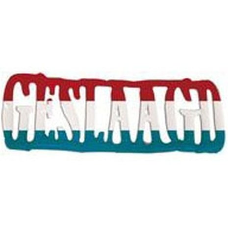 Opblaasbare letterset Geslaagd Opblaasbare letterset Geslaagd