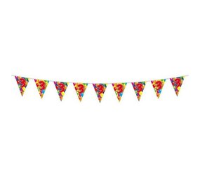Vlaggenlijn 3 jaar dubbelzijdig Vlaggenlijn 3 jaar dubbelzijdig
