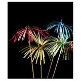 Prikkers Folie waaier  6 stuks Prikkers Folie waaier  6 stuks