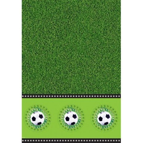 Folat Tableau de football avec pelouse | 130x180cm