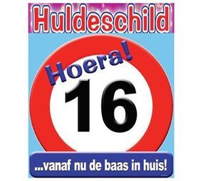 Verkehrstürbrett 16 Jahre alt ca. 50 cm Verkehrstürbrett 16 Jahre alt ca. 50 cm