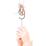 Folat Party Star Nummer 9