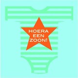 Servet Hoera een zoon 20 stuks Servet Hoera een zoon 20 stuks