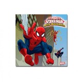 Servet Spiderman Warriors | 20 morceaux Servet Spiderman Warriors | 20 morceaux