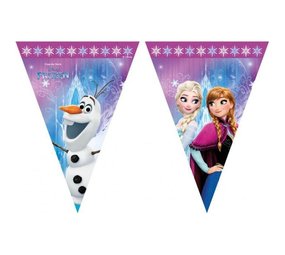 Procos Party Gefrorene Flaggen Linien Lichter Lichter | 2,3 mtr Procos Party Gefrorene Flaggen Linien Lichter Lichter | 2,3 mtr