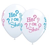 Ballonnen He or She | 25 stuks