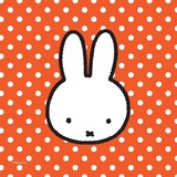 Haza - Witbaard NAPKIN MIFFY Party 25x25cm 20 pièces