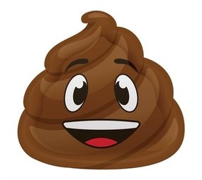 Poppen Poop emoji 23cm | 8 pièces Poppen Poop emoji 23cm | 8 pièces