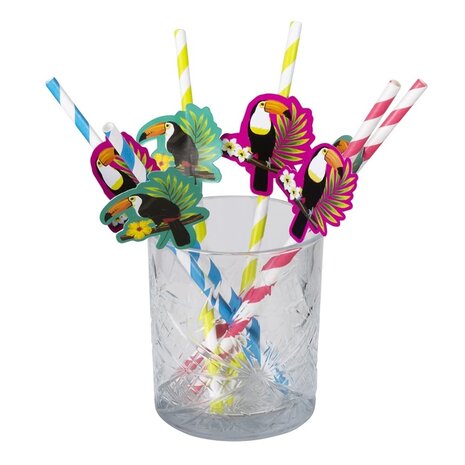 Straws Hawaii Toekan Paper 20cm | 6 pieces