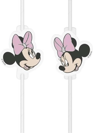 Rietjes Minnie Mouse papier | 4 stuks