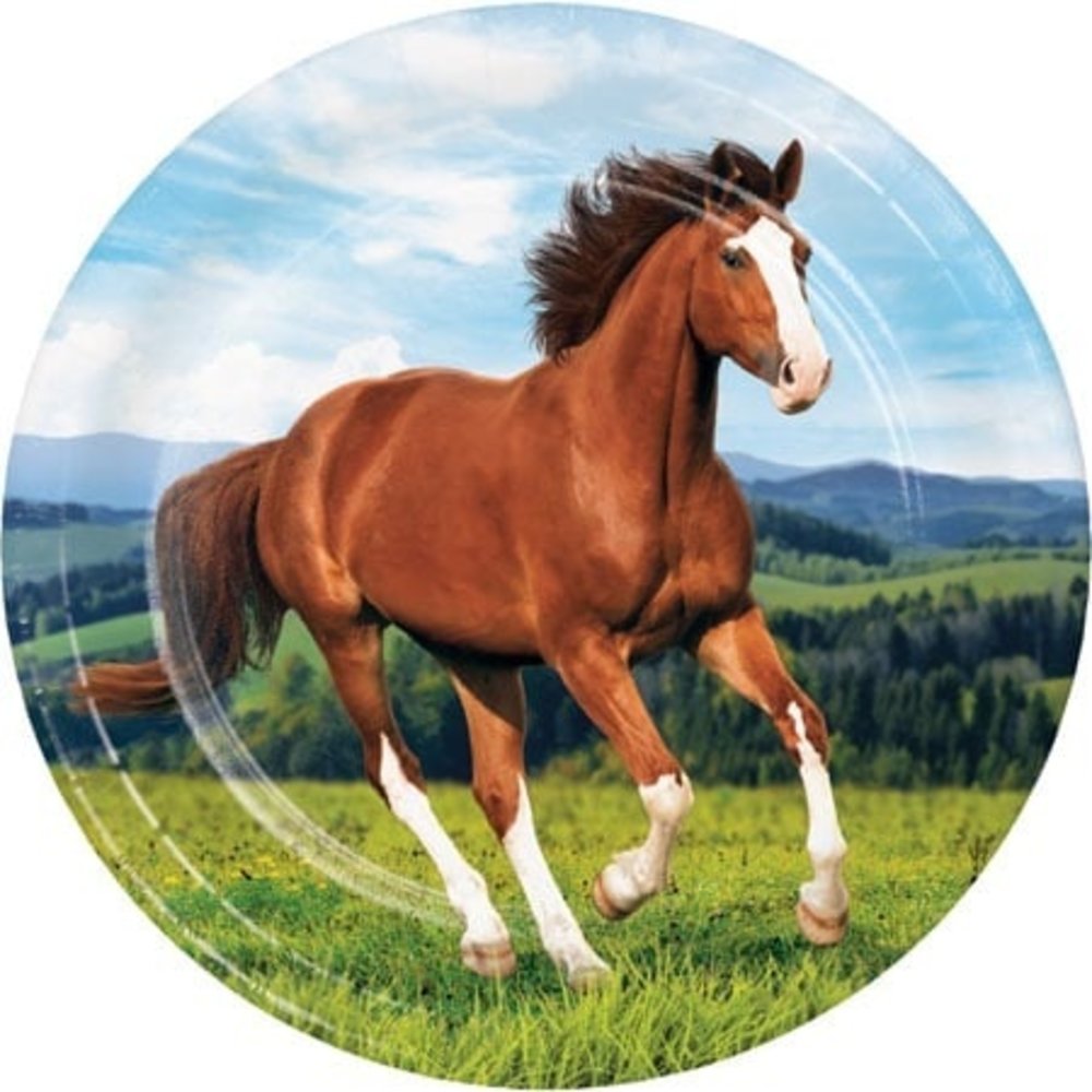 Creative Converting Paard & Pony borden 23cm | 8 stuks Creative Converting Paard & Pony borden 23cm | 8 stuks