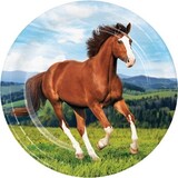 Creative Converting Pferd & Pony -Platten 23 cm | 8 Stücke