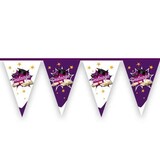 Haza - Witbaard Diplômé 6m