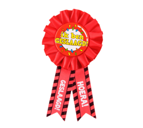 Paper Dreams Rozet button Geslaagd verkeersbord | per stuk