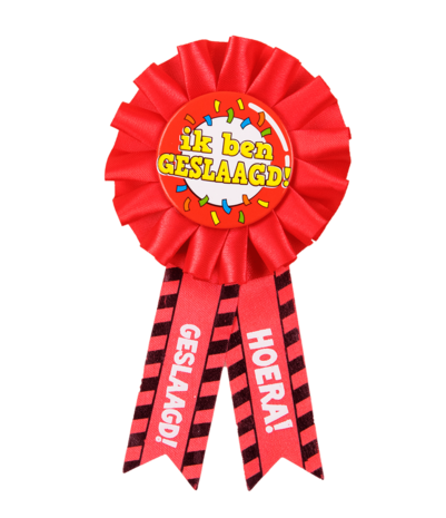 Paper Dreams Rozet button Geslaagd verkeersbord | per stuk