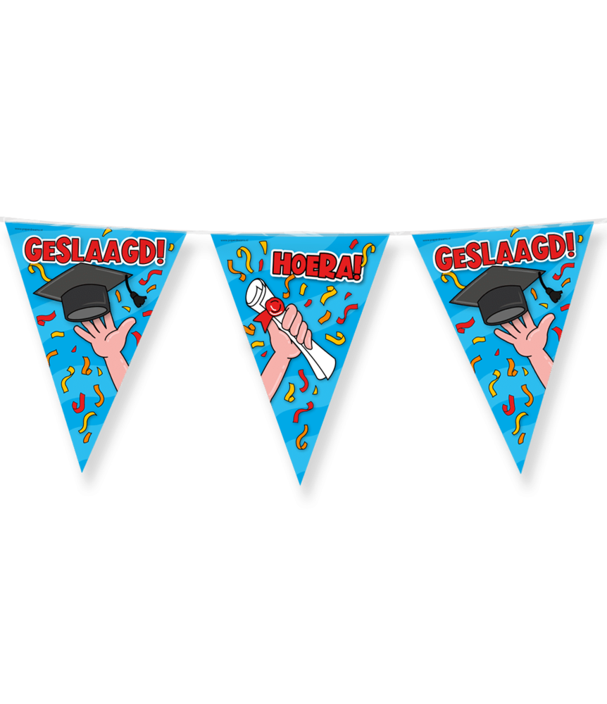 Paper Dreams Slinger Hoera Geslaagd Cartoon | 10mtr