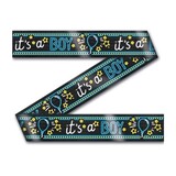 Spring ribbon it's a boy neon | 12mtr