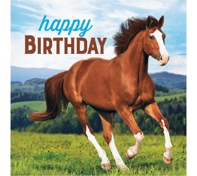 Creative Converting Pferd & Pony Servietten 33x33cm Geburtstag | 12 Stücke