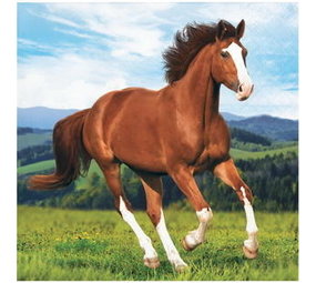 Creative Converting Pferd & Pony Servietten 25x25cm | 16 Stücke