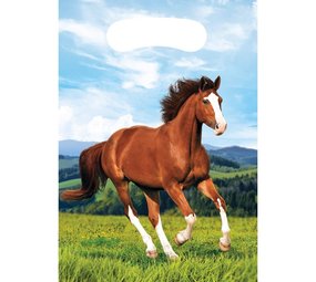 Creative Converting Horse & Pony -Handhabungstaschen 16x23cm | 8 Stücke