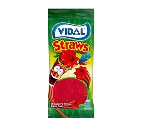 Vidal Snoep rietjes aardbeiensmaak | zakje van 100gr Vidal Snoep rietjes aardbeiensmaak | zakje van 100gr