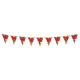 Ligne de drapeau 18 ans double face Ligne de drapeau 18 ans double face