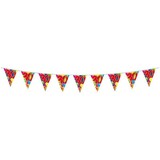 Folat Flag line 30 years double-sided | 10 meters Folat Flag line 30 years double-sided | 10 meters