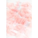 Globos Nordic Pétales de rose luxe rose clair | 144 pièces Globos Nordic Pétales de rose luxe rose clair | 144 pièces