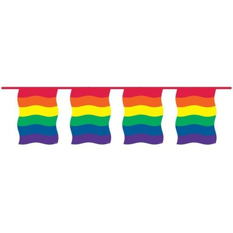 Flag line rainbow square